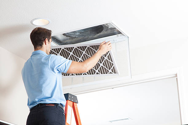 Best HVAC Service Technicians  in St Michael, MN